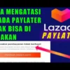 Cara Untuk Mengatasi Lazada Paylater Tidak Bisa Digunakan