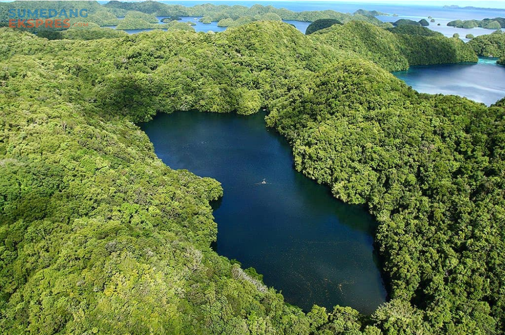 Pulau Misool Raja Ampat