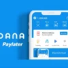 DANA Ada Layanan Bayar Nanti Ini Cara Aktifkan Paylater DANA