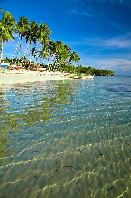 Pantai Paliton Beach: Pesona Tersembunyi Pantai yang Menakjubkan di Filipina