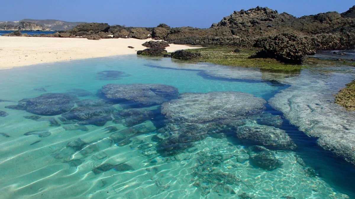 Oh Gini Ya, Pantai Tanjung Bongo Lombok