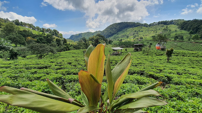 kepanjangan Tol Cisumdawu