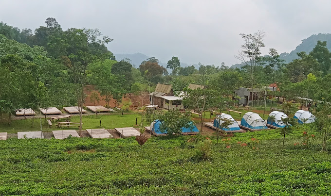 Eksplorasi kawasan agro wisata