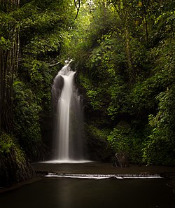 Menyusuri Keindahan Danau dan Hutan Lindung di Taman Nasional Gunung Ciremai, Terdapat Sumur Berusia Ratusan Tahun!