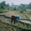 Kearifan Masyarakat Lokal dalam Menghadapi Bencana Alam Kabupaten Sumedang