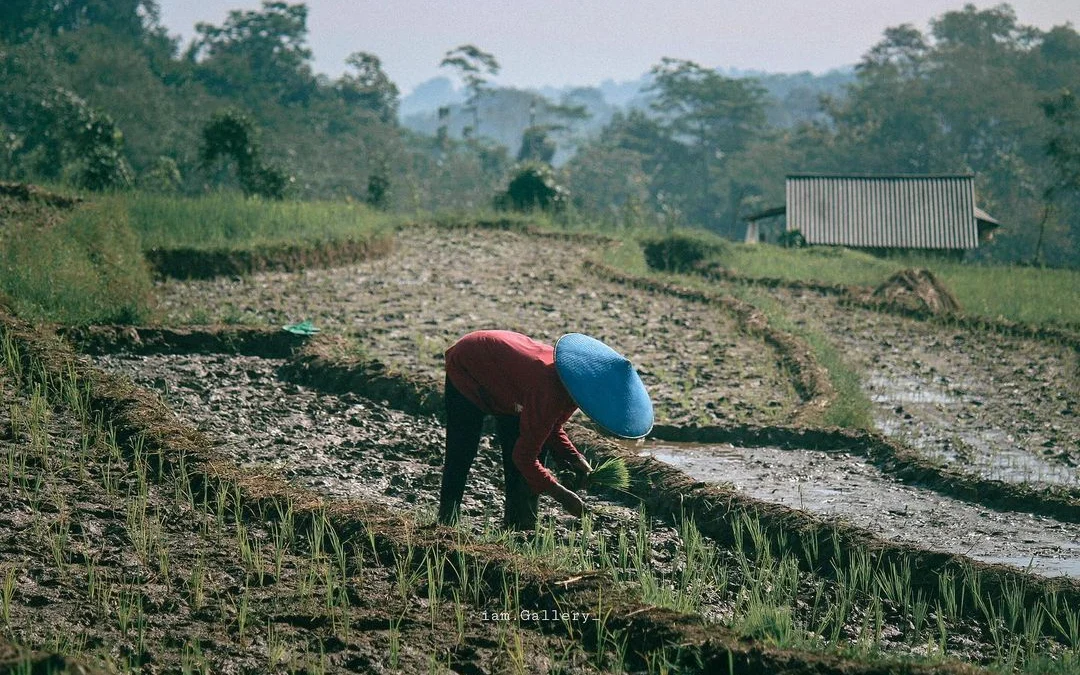 Kearifan Masyarakat Lokal dalam Menghadapi Bencana Alam Kabupaten Sumedang