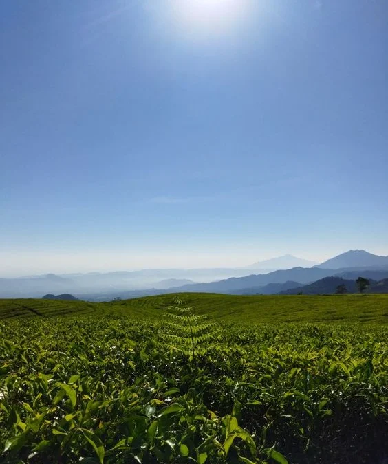 China Lagi Panas Banget, Bandung Justru Dingin Abis!