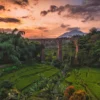 Gunung Tampomas Sumedang Emang Cocok Buat Mendaki!