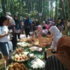 Pasar di Tengah Hutan, Nikmati Ketenangan Berbelanja di Hutan Bambu Pasir Jepang Kaki Gunung Manglayang Sumedang