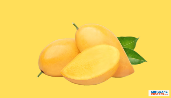 Tidak Perlu Skincare Mahal, Buah Mangga Ternyata Bisa Membuat Glowing, Inilah Manfaat Buah Mangga