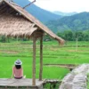 Makan Bareng Ayang Di Rumah Makan Lesehan Dekat Tol Cisumdawu Sumedang, Dijamin Makin Nempel