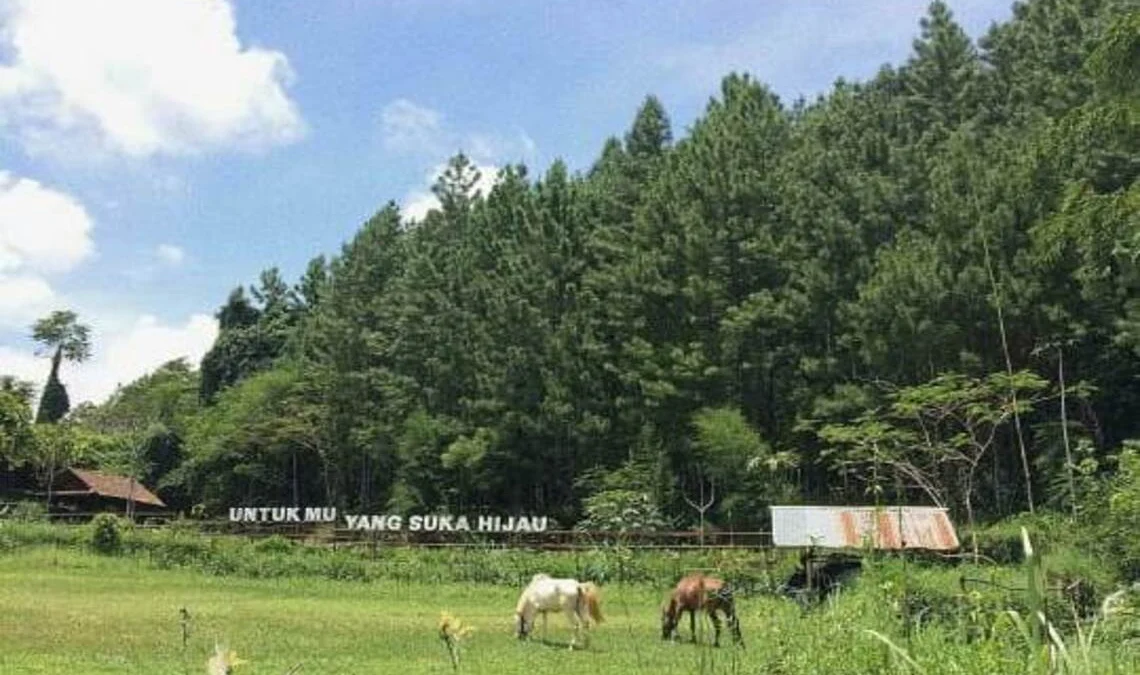 Indah Banget! Inilah Wisata Kampung Edukasi dan Berkebun di Sumedang