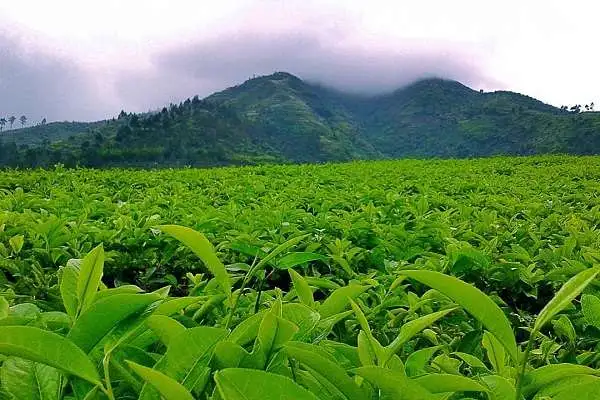 Rekomendasi tempat wisata hits Sumedang