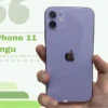 iPhone 11 Warna Ungu Mampu Memberikan Kedamaian, Cocok Bagi Orang yang Berkarakter Lembut dan Ramah