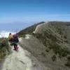 Menyusuri Keindahan Danau Dan Hutan Lindung Di Taman Nasional Gunung Ciremai.