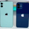 iPhone 12 vs iPhone 11 Mana yang Lebih Unggul? Tentukan Kebutuhan Budget atau Spesifikasi, Ini Perbandingannya!