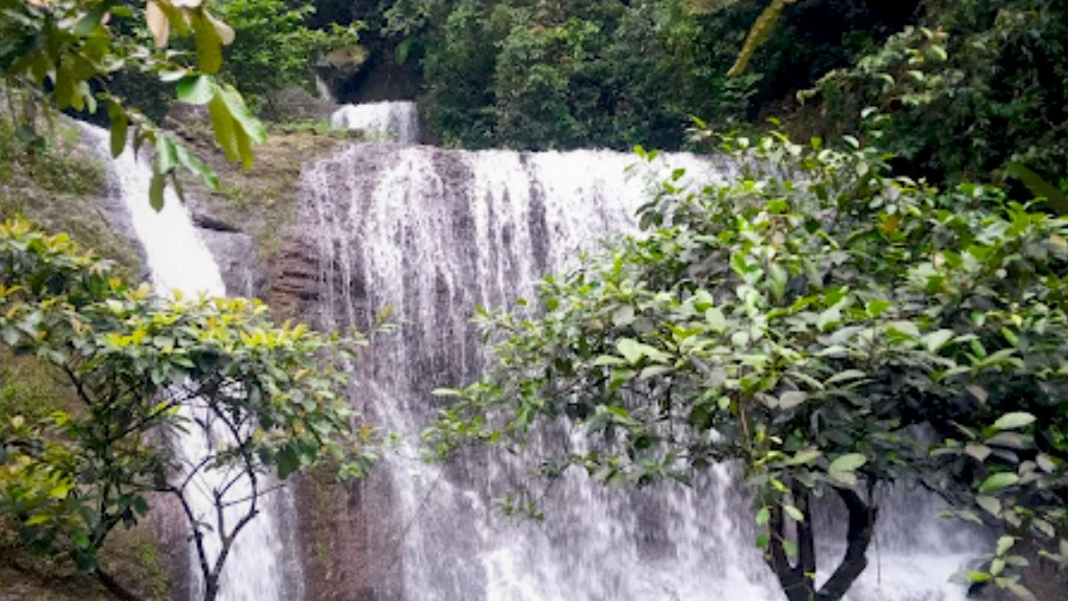 Pesona Kolam Renang Alami di Sumedang, Langsung dari Mata Air Alam Seger nya Nyegerin!