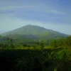 Eksplorasi Kawasan Hutan Cagar Alam di Sumedang Cagar Alam (CA) Gunung Jagat