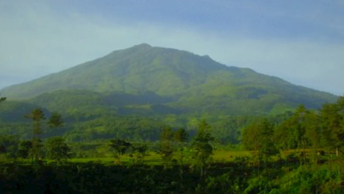 Eksplorasi Kawasan Hutan Cagar Alam di Sumedang Cagar Alam (CA) Gunung Jagat