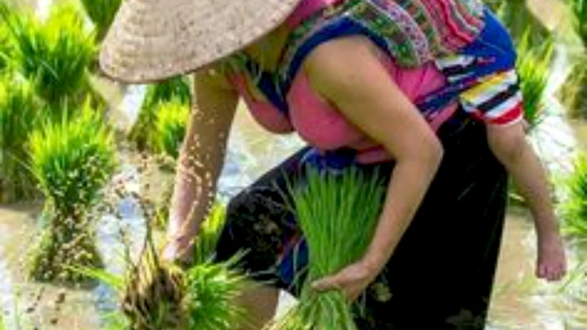 Peran Perempuan Dalam Masyarakat Lokal Sumedang, Masih Harus Diperhatikan Soal Pandangannya!