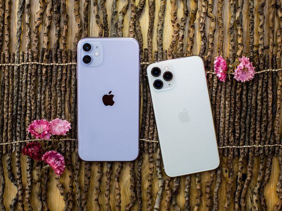 Kira-Kira Dilihat Dari Apanya ya ? Perbedaan antara iPhone 11 Pro dan iPhone 11 Pro Max