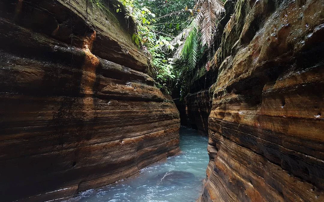 danau dan hutan lindung di Taman Nasional