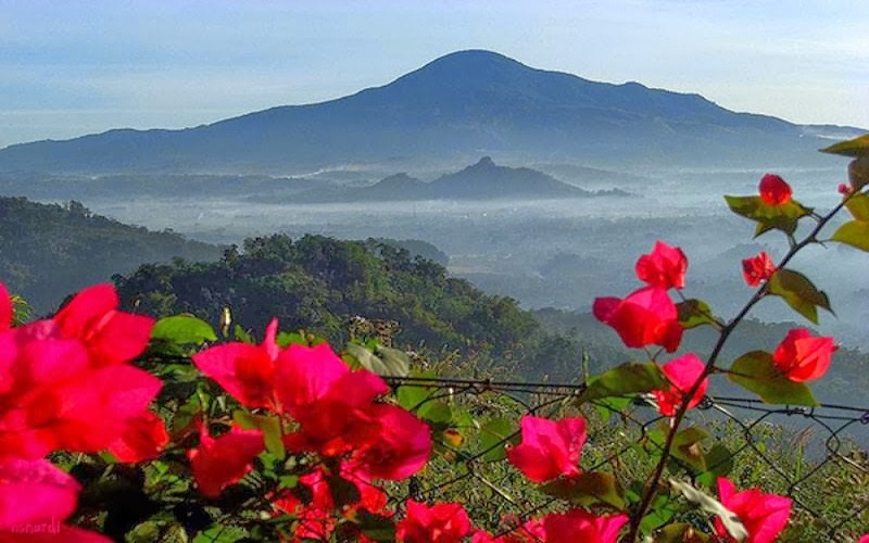 Wisata Alam : Eksplorasi Keindahan Gunung Tampomas di Sumedang