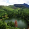 Wisata Tersembunyi Cekdam Cimarias Sumedang Menikmati Keindahan dan Keunikan Hutan Pinus dan Lembah di Sumedang