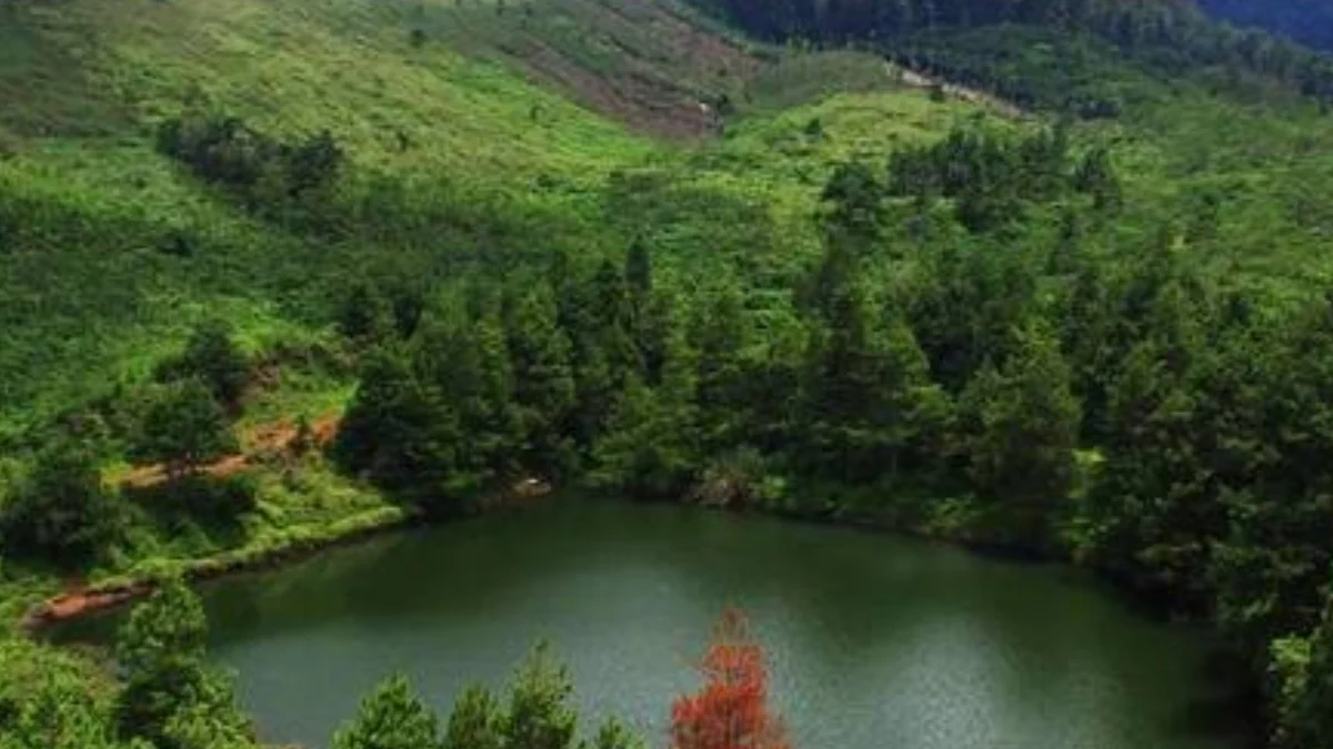 Wisata Tersembunyi Cekdam Cimarias Sumedang Menikmati Keindahan dan Keunikan Hutan Pinus dan Lembah di Sumedang