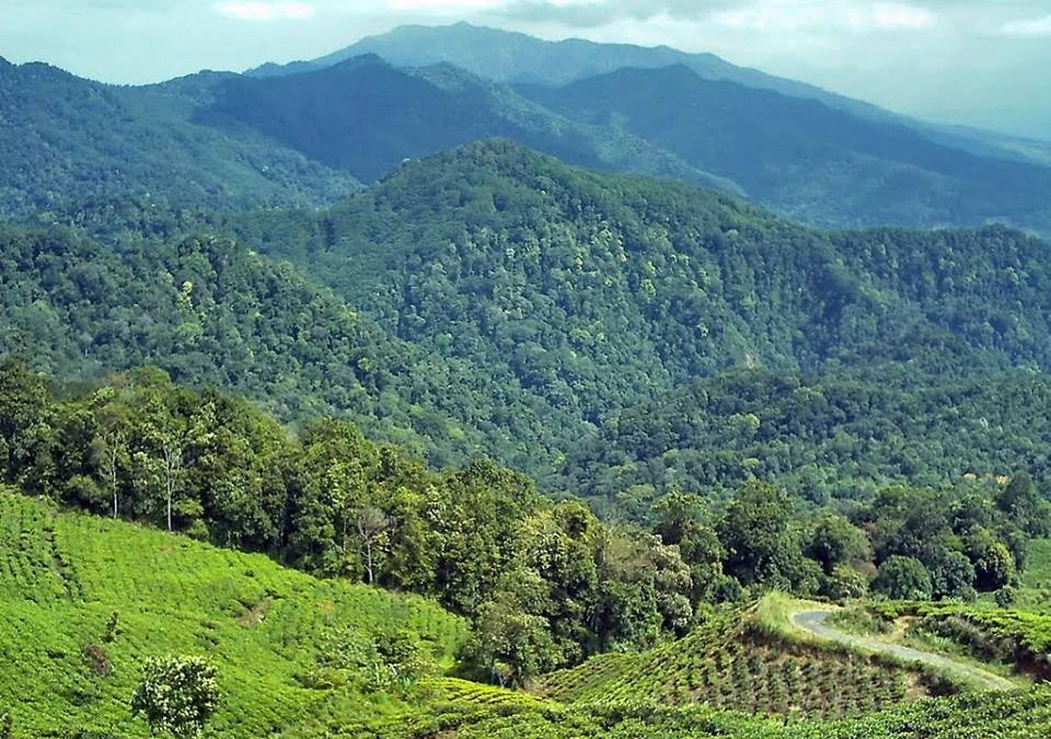 Peran Kepala desa Sumedang