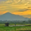 Masyaallah Indahnya Pemandangan di Pedesaan Sumedang Ini! Bikin Hati dan Pikiran Adem!