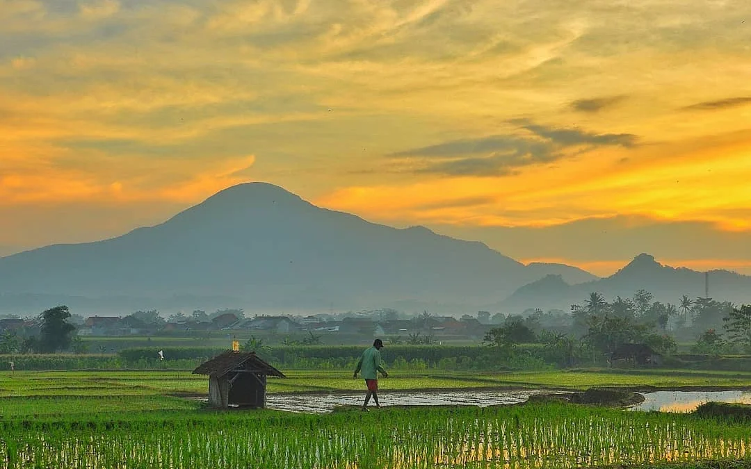 Masyaallah Indahnya Pemandangan di Pedesaan Sumedang Ini! Bikin Hati dan Pikiran Adem!