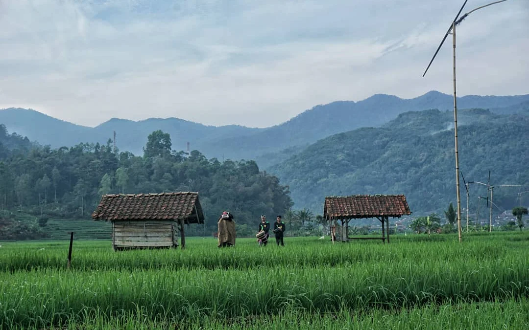 Ini Namanya Persawahan di Sumedang! Alamnya Indah Banget, Bikin Hati Adem!