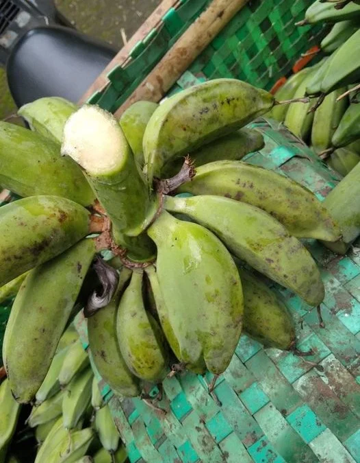 Minuman tradisional dari buah Gedang Klutuk