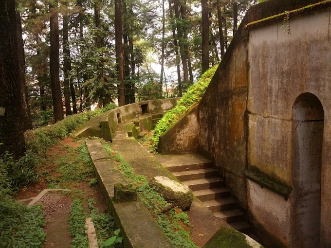 Wisata Edukasi di Kebun Raya Sumedang Wajib Kamu Kunjungi Sama Pasangan Ada Tempat Buat Berduaan Lho!