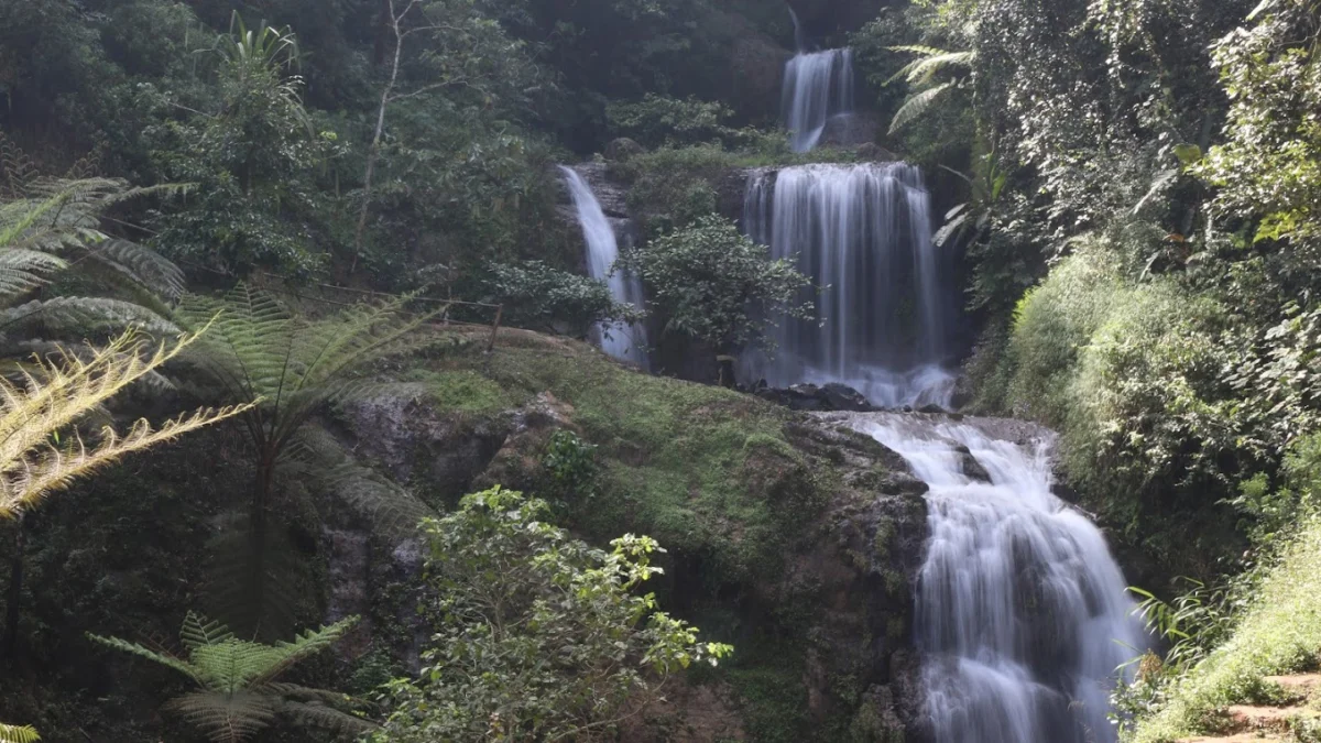 Wisata Tersembunyi Sumedang: Daftar Tempat yang Instagramable