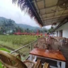 Antara Kuliner dan Kenyamanan: Ini Dia Rekomendasi Cafe di Sumedang untuk Menikmati Hidangan dan Suasana yang Menarik