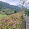 Banyak Selebrgam Pernah Kesini Hidden Gem Sumedang, Cisoka Eco Green Park Foto Terbaru