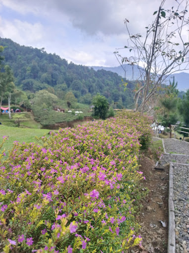 Banyak Selebrgam Pernah Kesini Hidden Gem Sumedang, Cisoka Eco Green Park Foto Terbaru