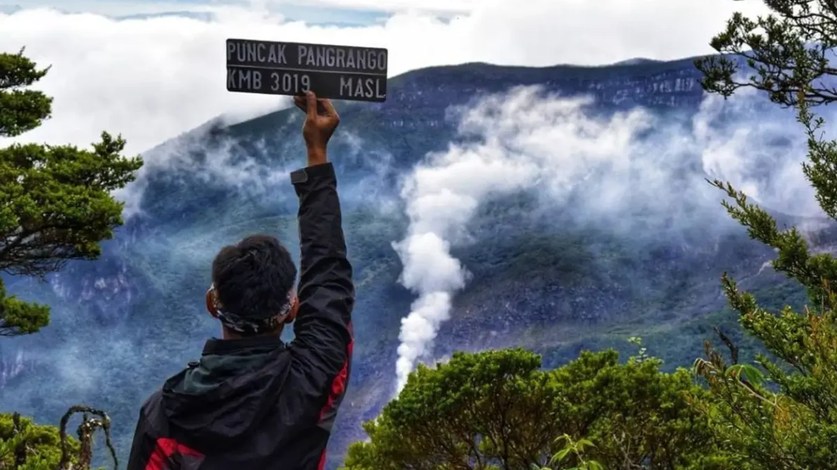 Gunung Pangrango ada spot untuk melihat bunga edelweiss