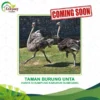 Keindahan taman burung Sumedang,