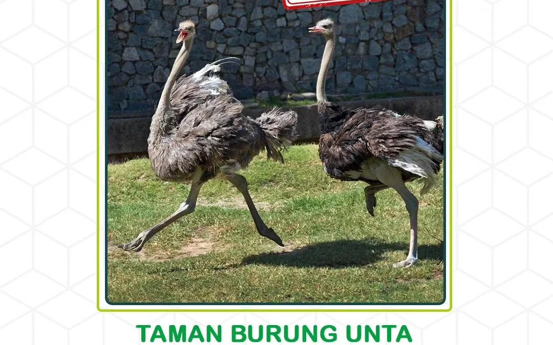 Keindahan taman burung Sumedang,