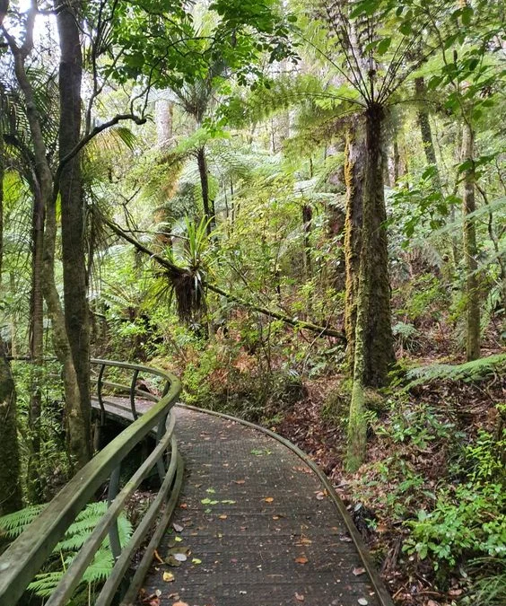 Kece Nih, Kearifan Lokal dalam Ngejaga Hutan Adat Sumedang, Beda Banget!