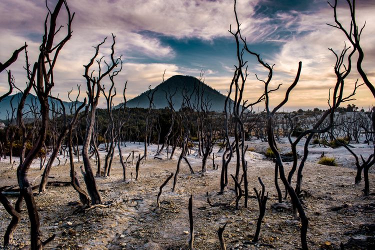 Update Terbaru Status Pendakian Gunung di Jawa Barat, Buka Tutup Jalur Pendakian