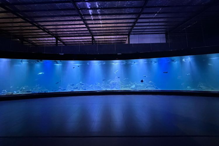 Pangandaran Juga Punya Sea World Lho, Main ke Sini Berasa Jadi Aquaman