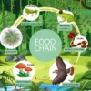 Rantai Makanan di Hutan Liar Saling Menerkam ih Tatut😱