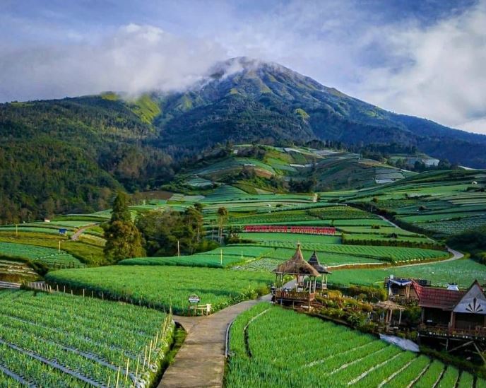 Negeri Sayur Sukomakmur Tempat Wisata yang Berada di Magelang