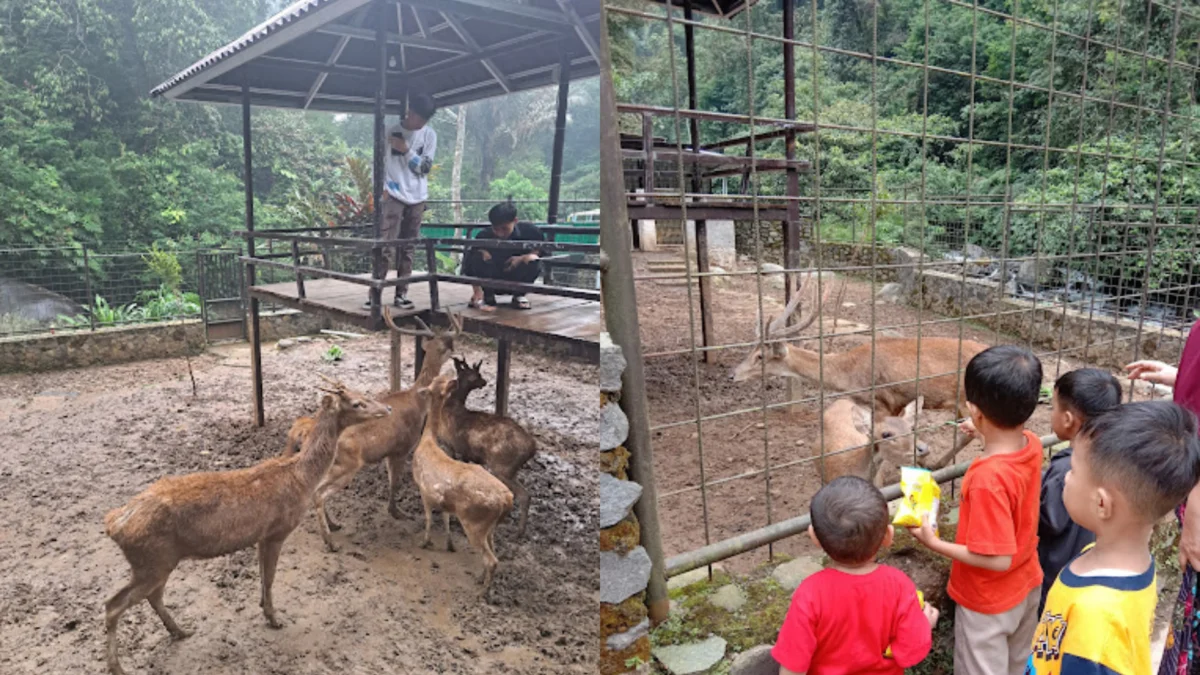 Wisata Edukasi Sumedang Ini Cocok Banget Buat Kamu yang Mau Bawa Bocil!