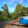 Asyik Banget Bisa Glamping + Rafting di Tengah Hutan Pinus! Inilah Wisata Muara Rahong Hill's!