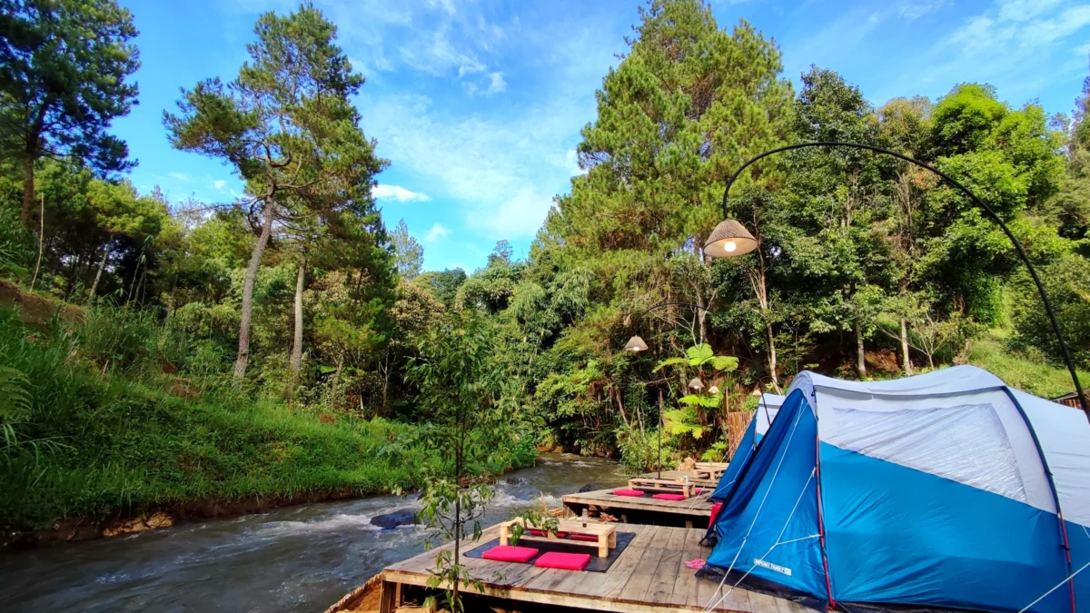 Asyik Banget Bisa Glamping + Rafting di Tengah Hutan Pinus! Inilah Wisata Muara Rahong Hill's!